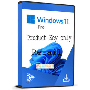 Windows 11 Professional Retail CD Key