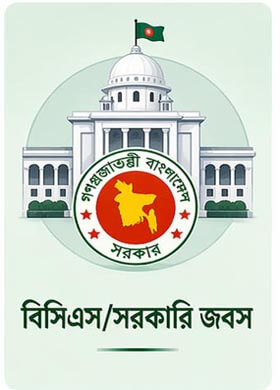 বিসিএস/সরকারি জবস
